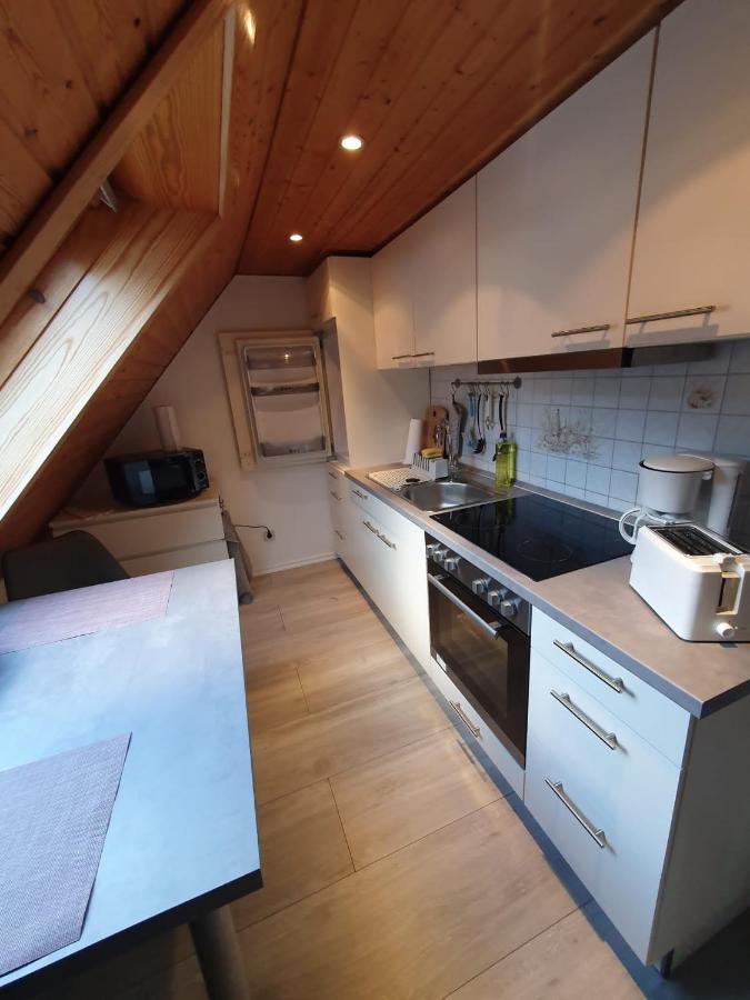 Ferienwohnung Haenel Antonshohe Dış mekan fotoğraf
