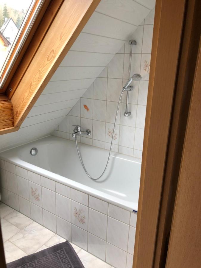 Ferienwohnung Haenel Antonshohe Dış mekan fotoğraf